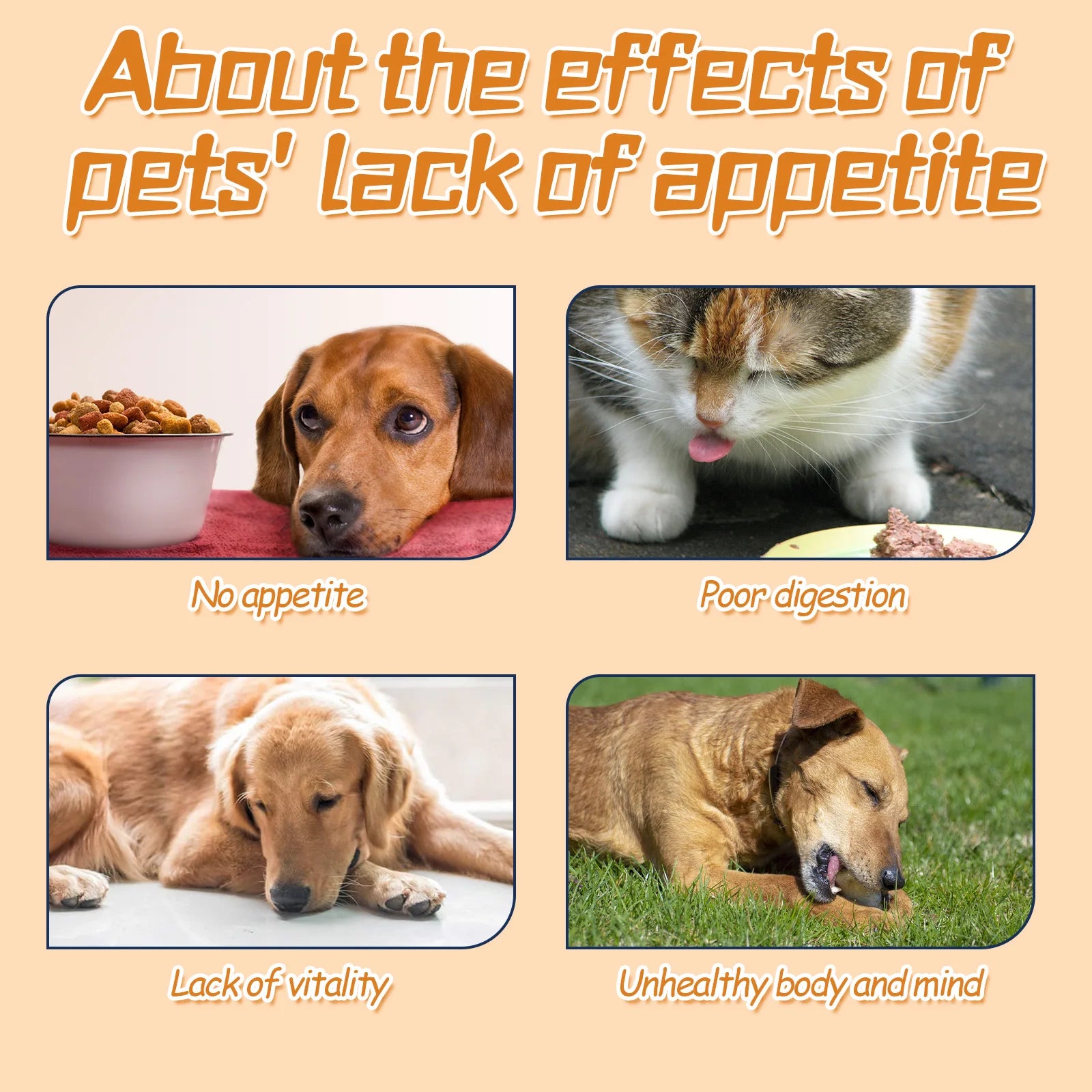 Pet Appetite Improvement Care Drops, Enhances Pet Vitality and Supplements Nutrition for Pet Health Care