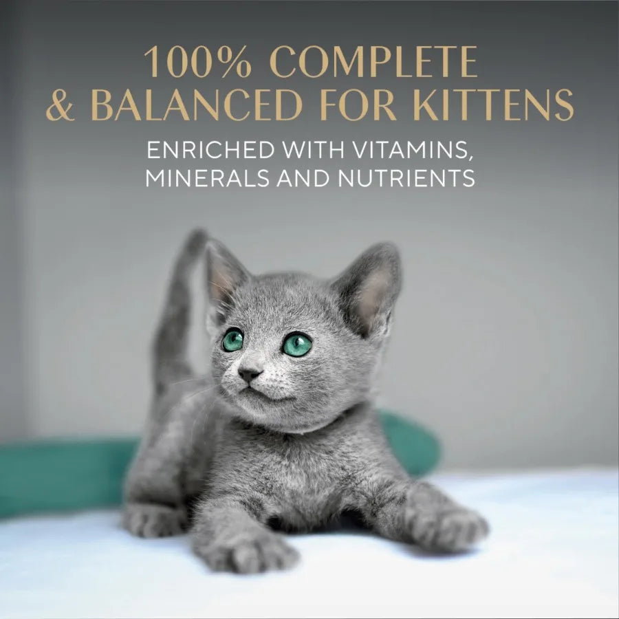 Perfect Portions Kitten Variety Flavors Pate Wet Cat Food 2.6 oz Twin-Pack Trays 24 Pack