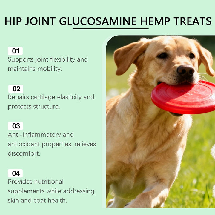 Dog Joint Supplement Soft Chews For Senior Dogs Relieves Joint Pain Supports Strong Hips Health Joints For All Dogs Joyful Runs