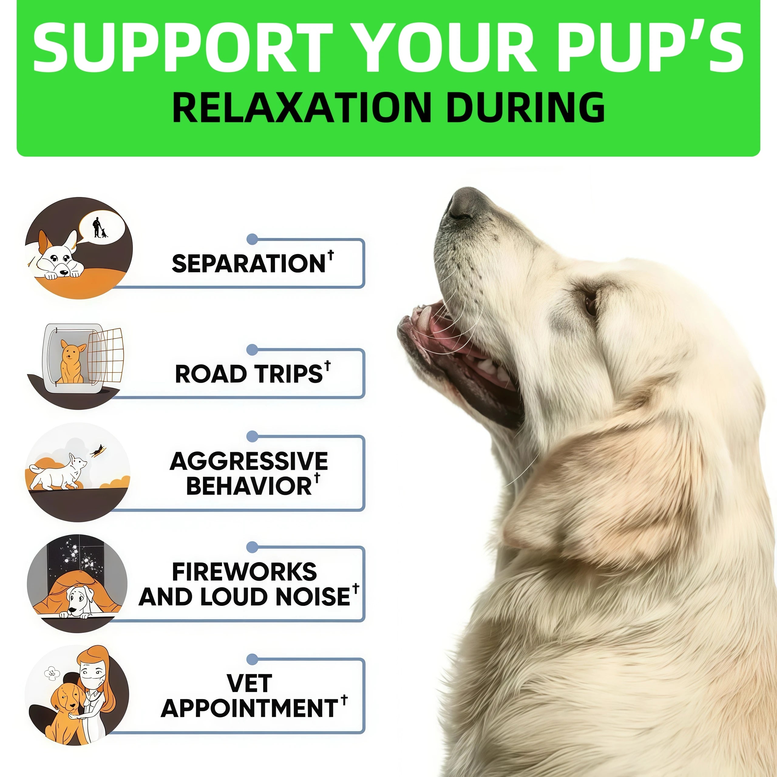 [120 Chews]Dogs Hemp Calming Chews | Noise Phobia & Anxiety Relief-Travel Stress Support-Dog Melatonin-Dog sleep Aid