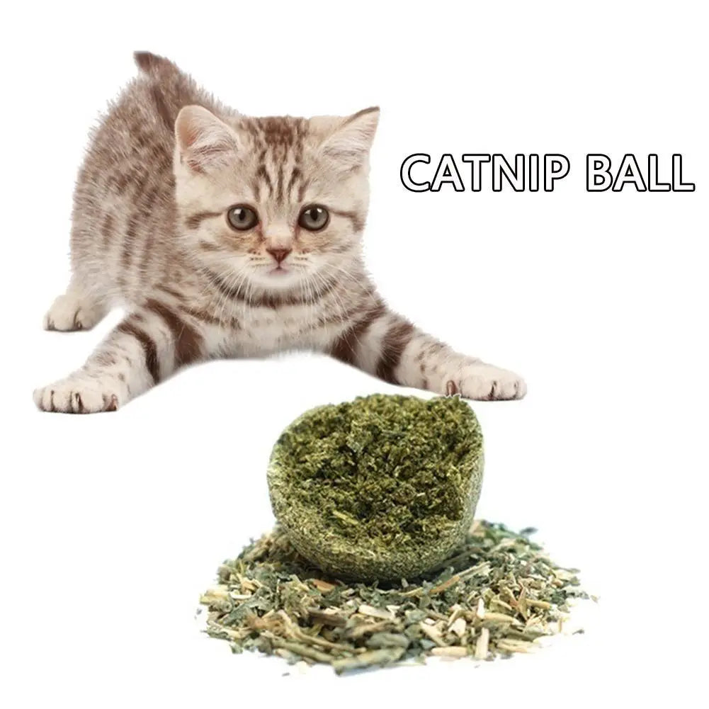 1~5PCS Natural Catnip Cat Wall Stick-on Ball Toys Treats Healthy Natural Removes Hair Balls To Promote Digestion Cat Grass Snack