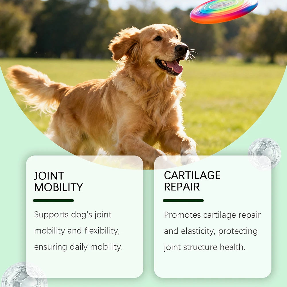 Dog Joint Supplement Soft Chews For Senior Dogs Relieves Joint Pain Supports Strong Hips Health Joints For All Dogs Joyful Runs